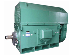 甘南Y系列6KV高压电机